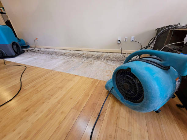 Professional Flood Damage Cleanup technician working in Cove City, NC